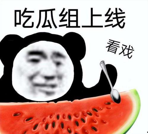 娱乐圈吃瓜小三,揭秘小三背后的真相与争议