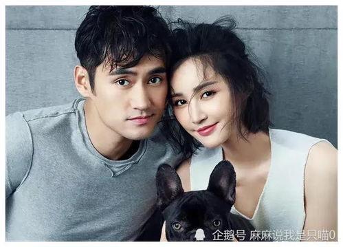 娱乐圈吃瓜小达人,揭秘明星幕后故事